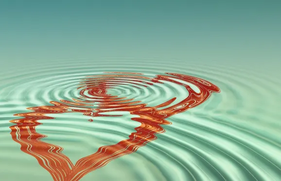 Rajbet Casino Supporto